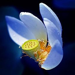 《星际战甲》将能跨平台联机＆存档 手机版开发中